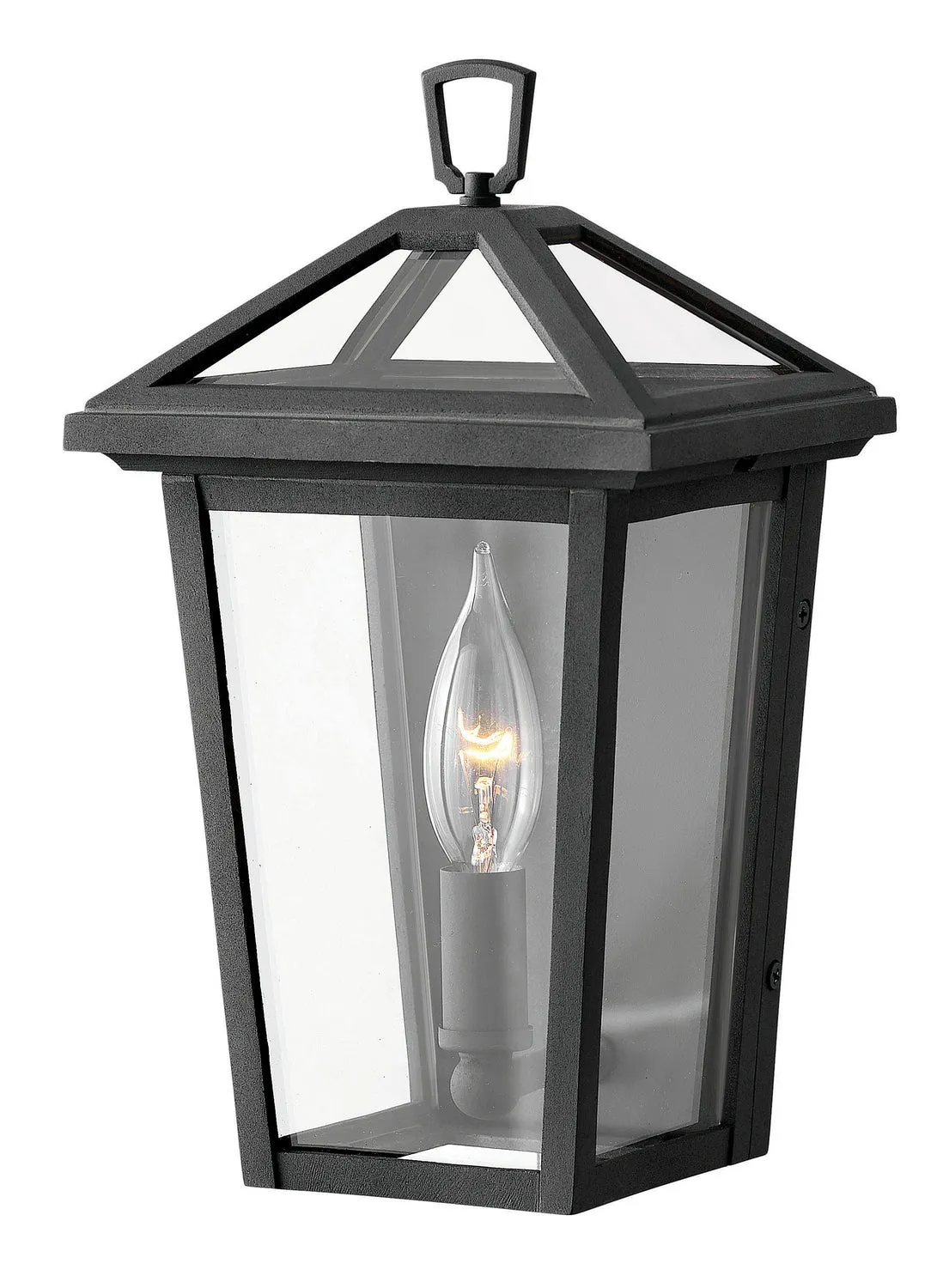 Alford Place LED Outdoor Lantern in Museum Black