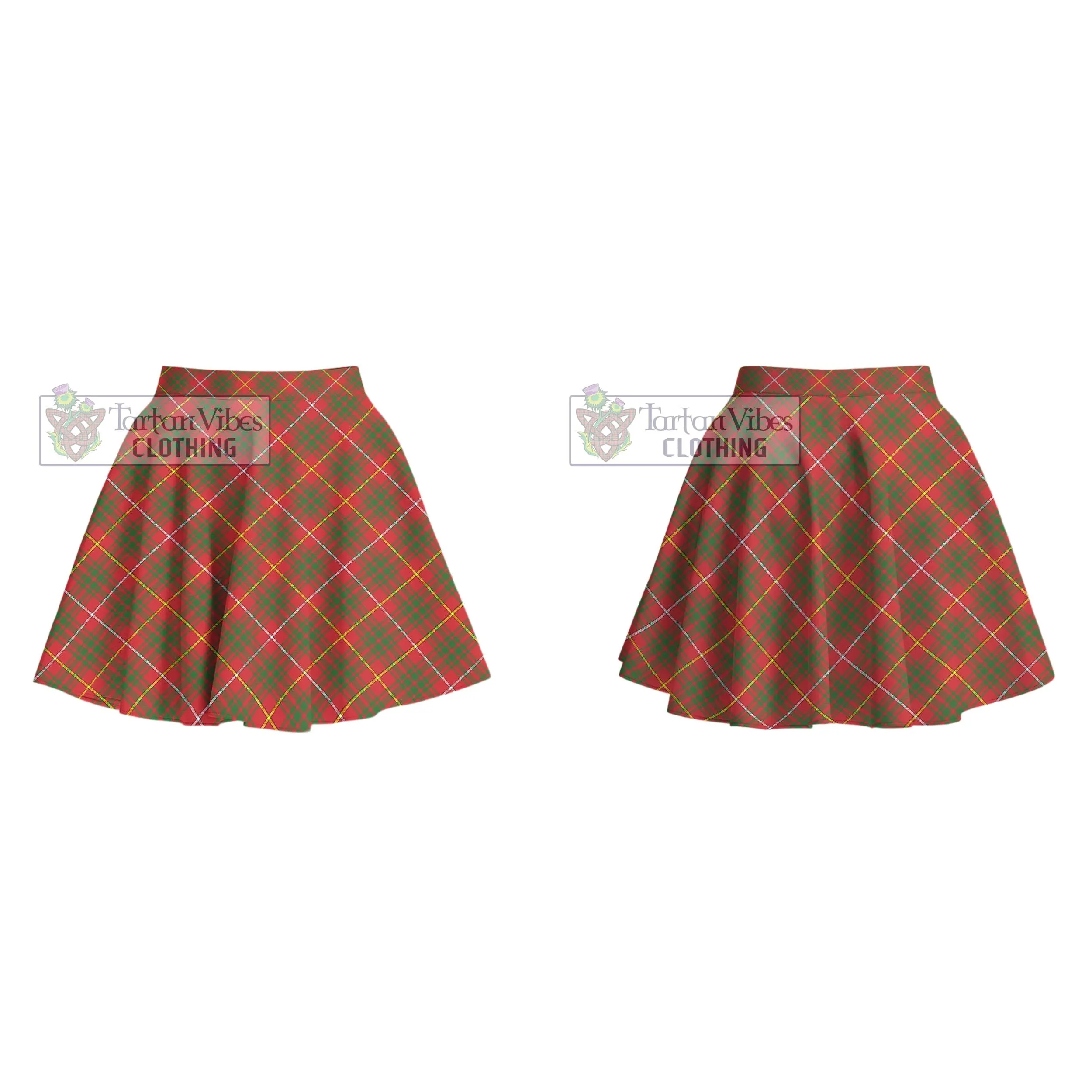 Bruce County Canada Tartan Women's Plated Mini Skirt