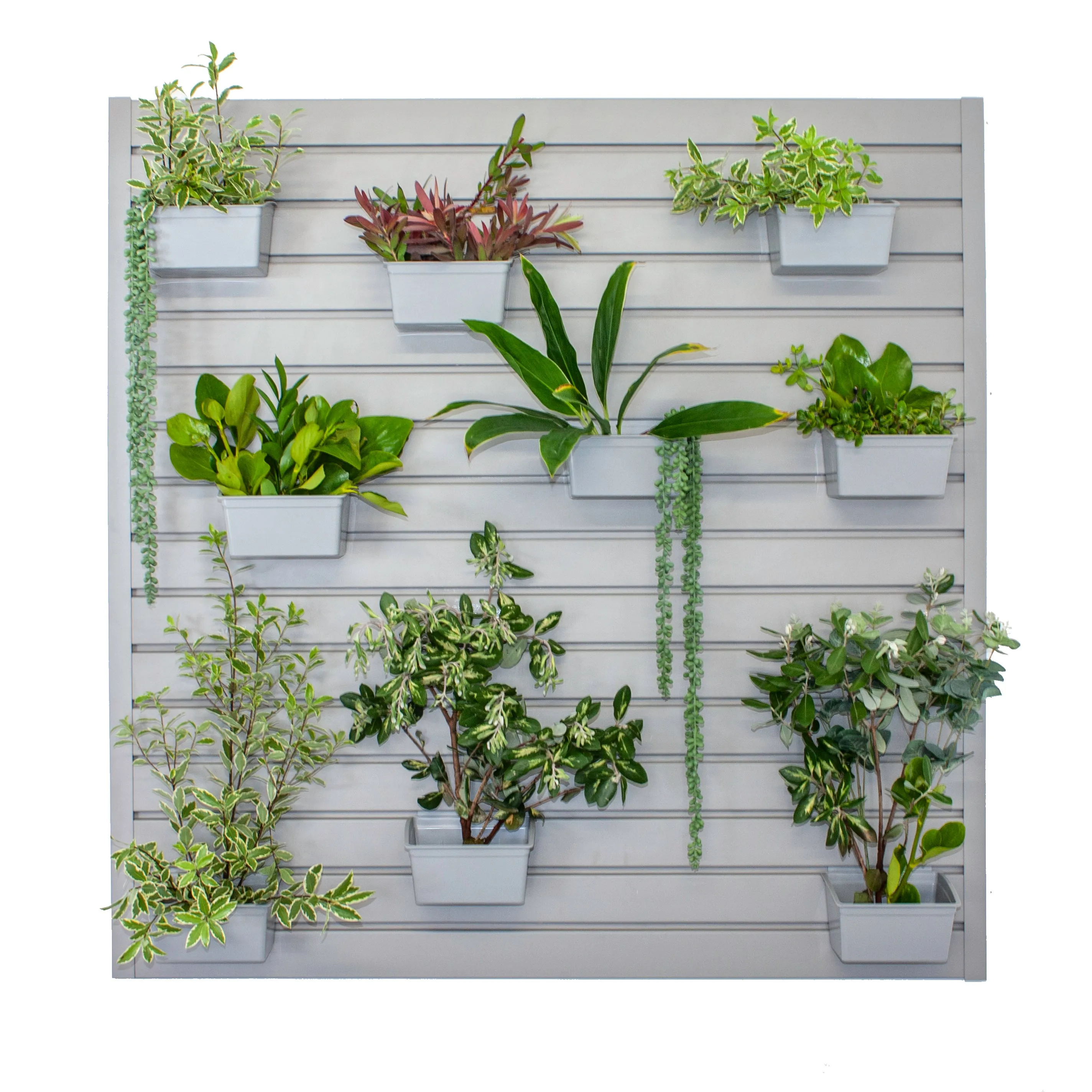 Green Wall Storage Kit