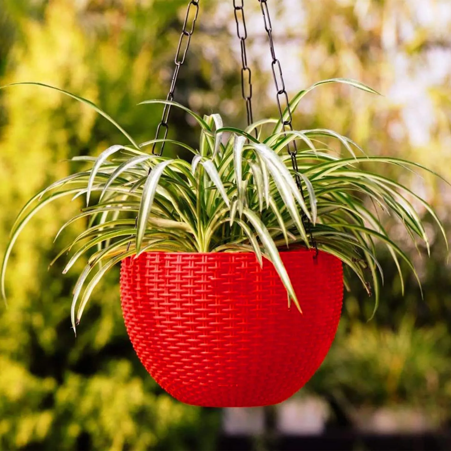 Kuber Industries Plastic Hanging Flower Pot for Balcony & Railing Set of 5 (Red) 53KM3828