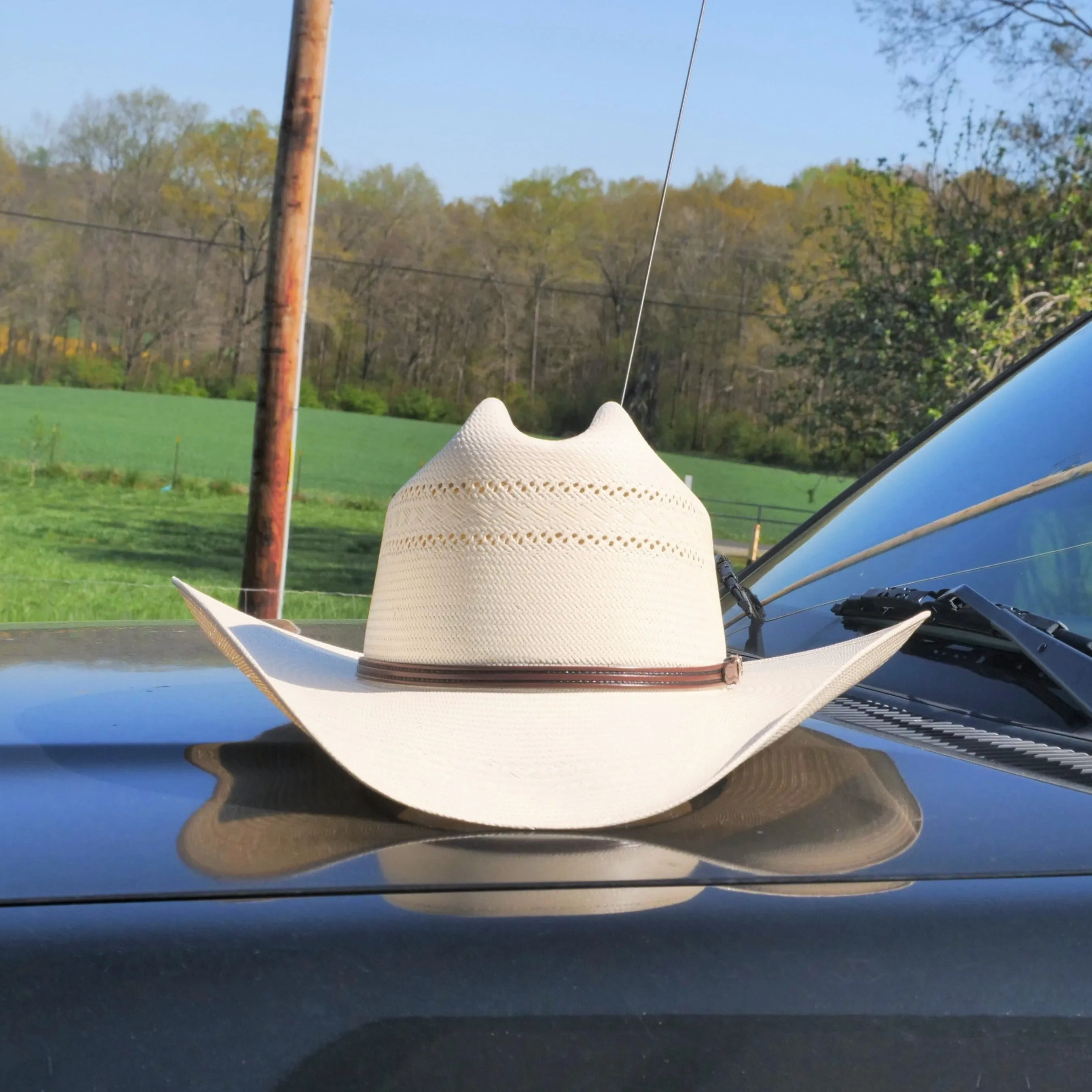 Resistol 10x Straw Summer Cowboy Hat Range T