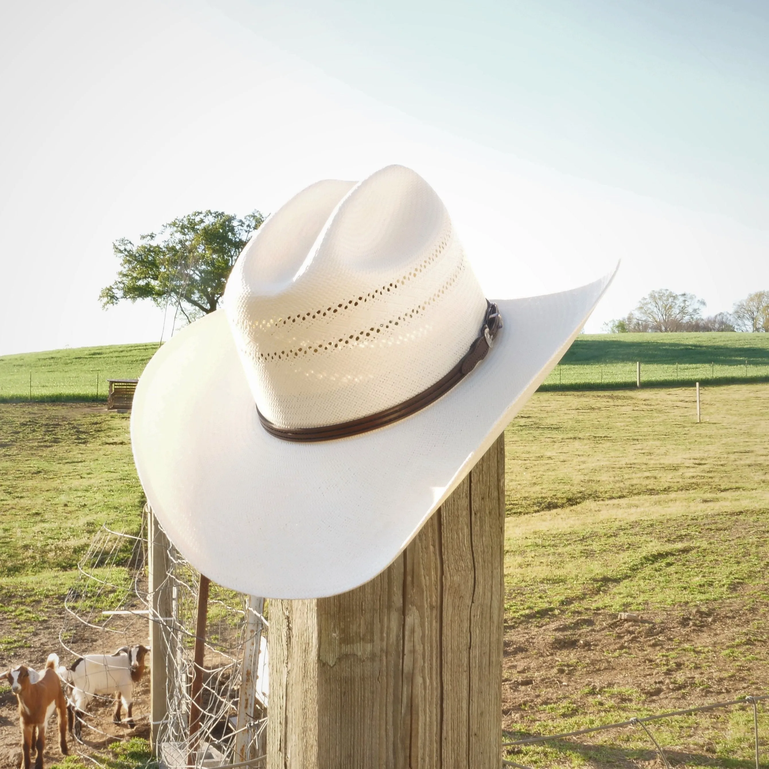 Resistol 10x Straw Summer Cowboy Hat Range T