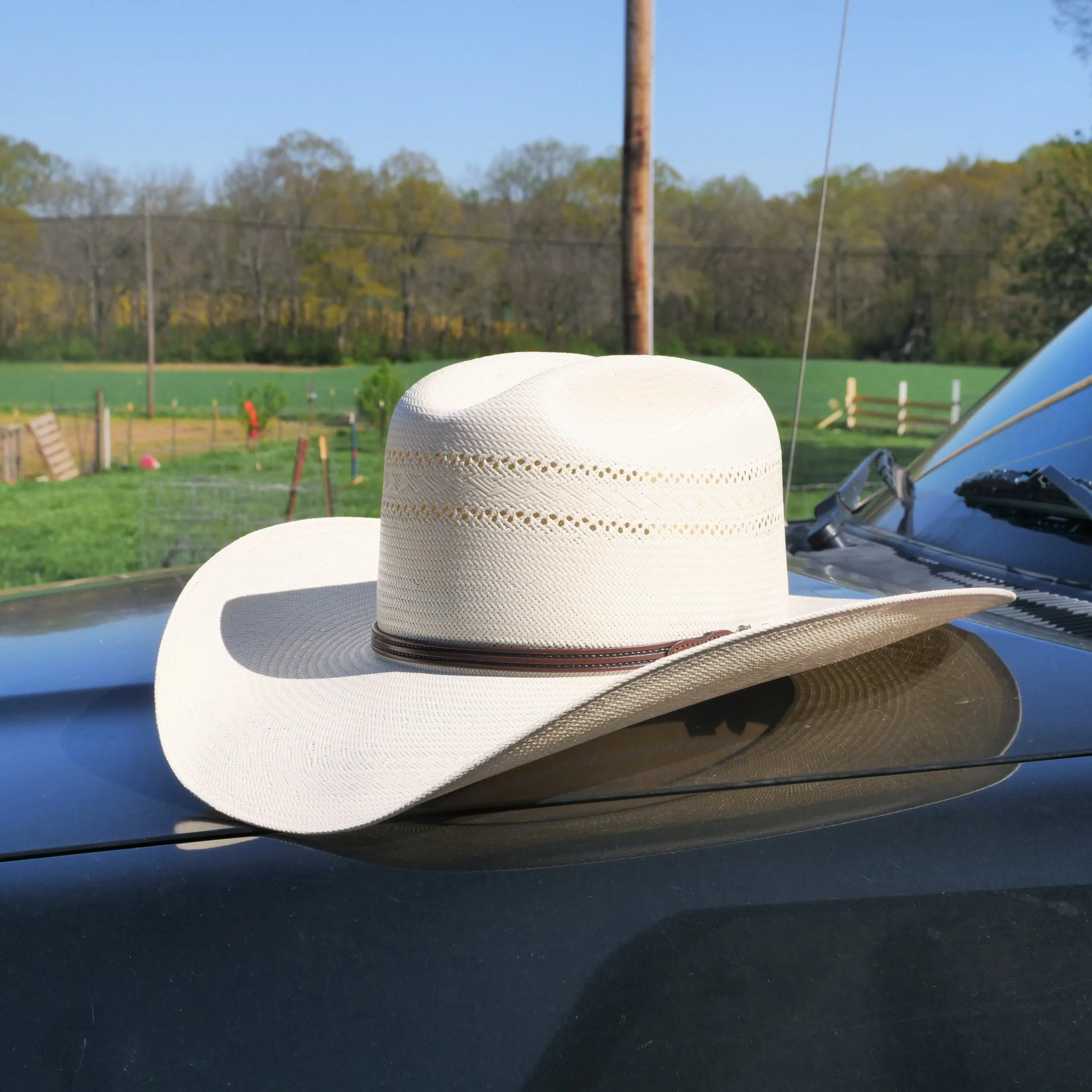 Resistol 10x Straw Summer Cowboy Hat Range T